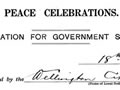 Application for peace celebrations subsidy