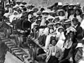 Logging train with picnic party, 1911