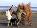 Duck hunting in New Zealand