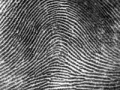 Fingerprints help convict murderer