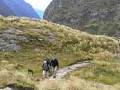 First step in creation of Fiordland National Park