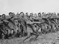 Maori Pioneer Battalion haka, 1918