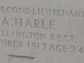 Douglas Harle's grave