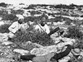 Ottoman infantry in the hills of Palestine