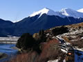 TranzAlpine train