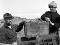 Restoring historic huts in Antarctica