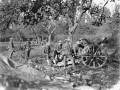 New Zealand gunners near Le Quesnoy, 1918