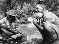 Soldiers shelter amongst olive trees on Crete