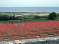 German war cemetery at Crete