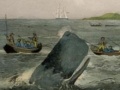 NZ whalers harpoon their last victim