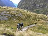 First step in creation of Fiordland National Park