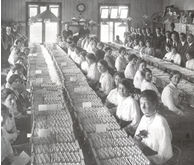 Rows of women sitting at tables full of documents