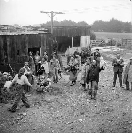 Horticultural workers gathered around sheds