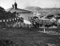 Rugby jerseys on washing line