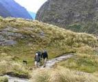 First step in creation of Fiordland National Park