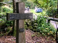 Huirangi cross