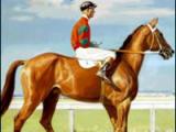 Death of Phar Lap