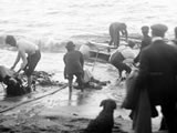 SS <em>Penguin</em> wrecked in Cook Strait