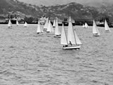 Disastrous centennial yacht race begins