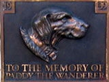 Death of Paddy the Wanderer