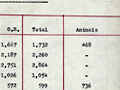 Transport of NZ Division to France, April 1916