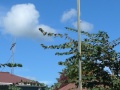 Hikurangi school memorial