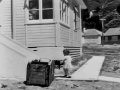 Film clip: Hutt housing - a new home