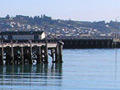  Oamaru Harbour today