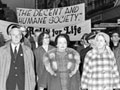 Anti-abortion march in Wellington