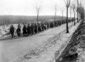 Sound: sunken roads and the Battle of the Somme