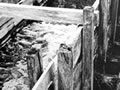 Wooden flume at Charming Creek