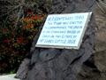 Corriedale sheep monument