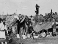 Captain Gilbert Mair and his Arawa Flying Column