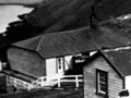 Houses near Pencarrow Lighthouse