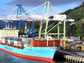 Port Chalmers, 2006