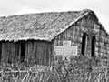 Rangiriri NZ Wars cemetery in 1864