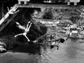 Royal couple at Whakarewarewa, 1954