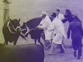 Film: the Queen at Invercargill agricultural show, 1954