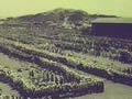 Film: children meet the Queen at Athletic Park, 1954