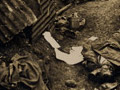 Death and squalor - the Battle of the Somme