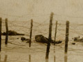 Dead troops by barbed wire, Battle of the Somme