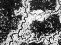 Aerial photo of Battle of the Somme trench systems