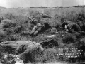 Dead bodies on the veldt, 1900