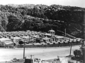 US forces camp in Central Park, Wellington