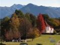 Ngatimoti war memorial 