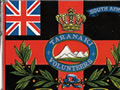 Taranaki Volunteers flag