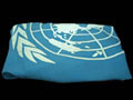 United Nations flag