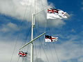 Flags flying on Waitangi Day