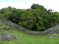 Ōtuataua Stonefields