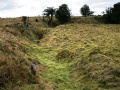 Pukerangiora Pā Historic Reserve